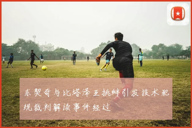 东契奇与比塔泽互挑衅引发技术犯规裁判解读事件经过
