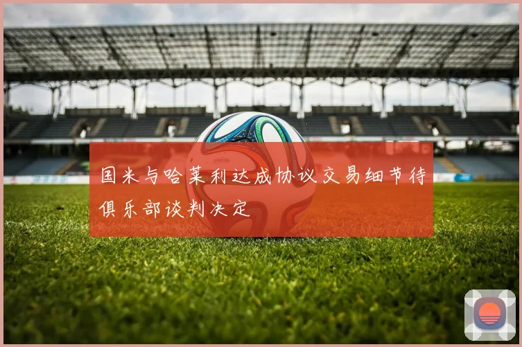 国米与哈莱利达成协议交易细节待俱乐部谈判决定