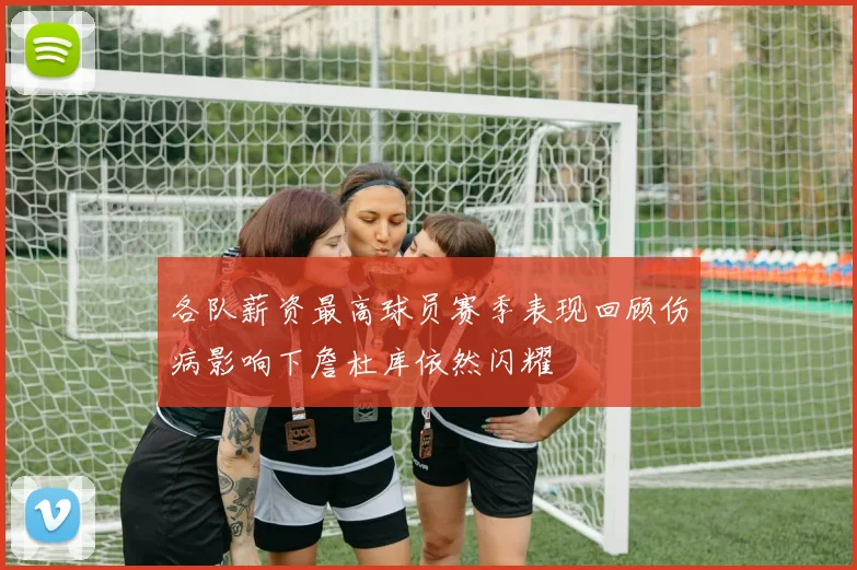 各队薪资最高球员赛季表现回顾伤病影响下詹杜库依然闪耀